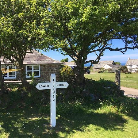 Higher Tresmorn Farm Bed & Breakfast Crackington Haven Eksteriør bilde