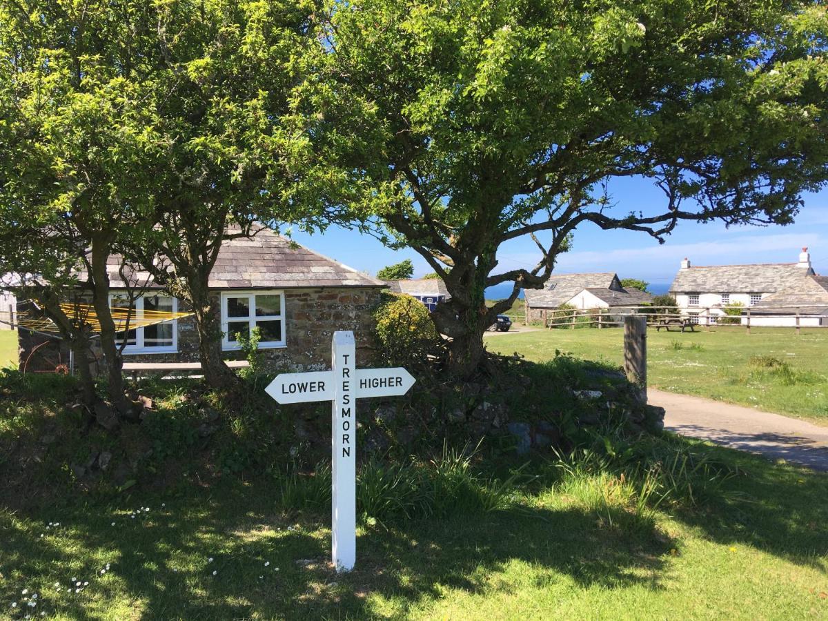 Higher Tresmorn Farm Bed & Breakfast Crackington Haven Eksteriør bilde