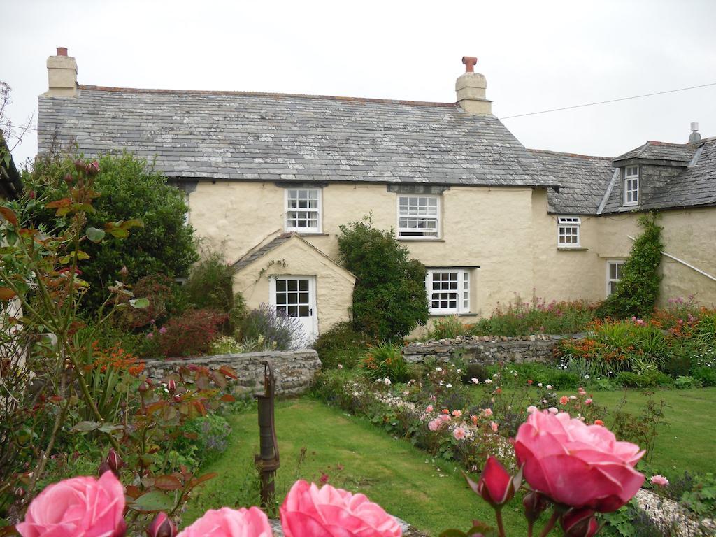 Higher Tresmorn Farm Bed & Breakfast Crackington Haven Eksteriør bilde