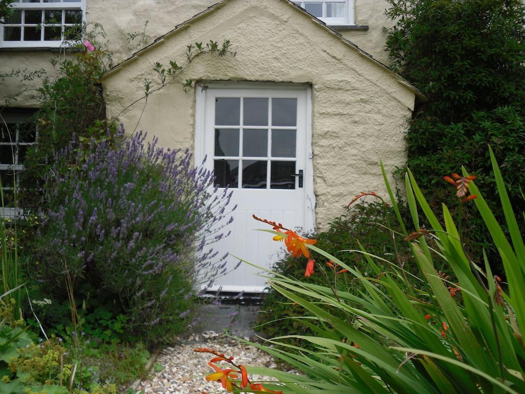 Higher Tresmorn Farm Bed & Breakfast Crackington Haven Eksteriør bilde