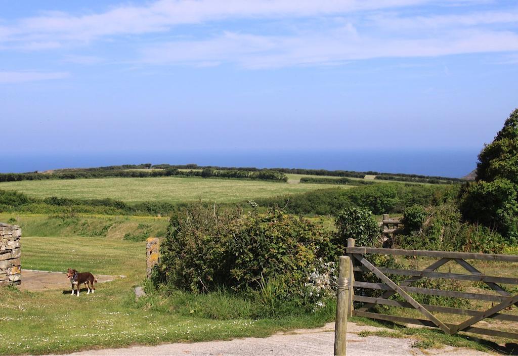 Higher Tresmorn Farm Bed & Breakfast Crackington Haven Eksteriør bilde