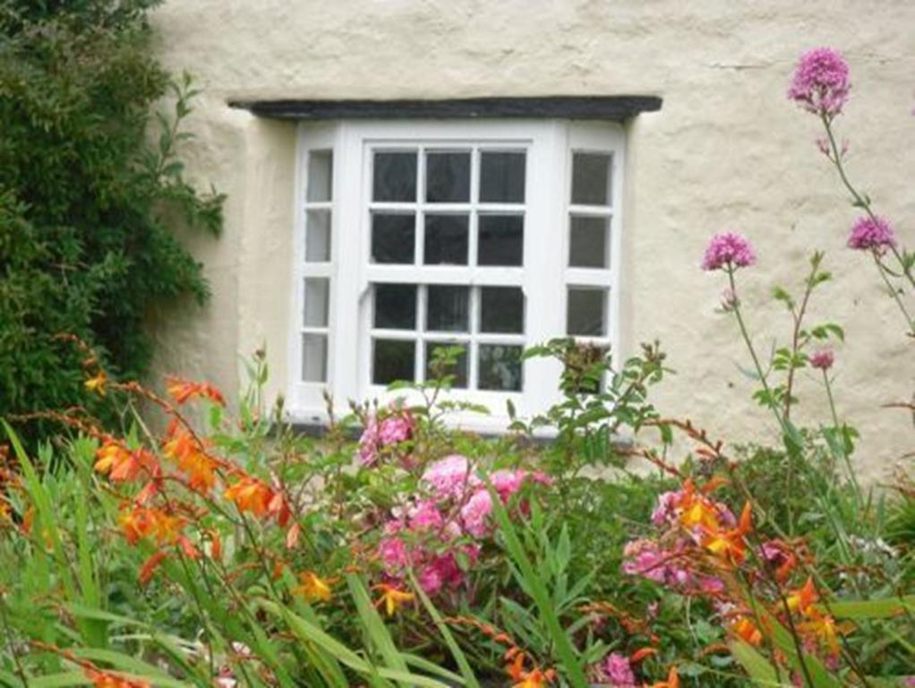 Higher Tresmorn Farm Bed & Breakfast Crackington Haven Eksteriør bilde
